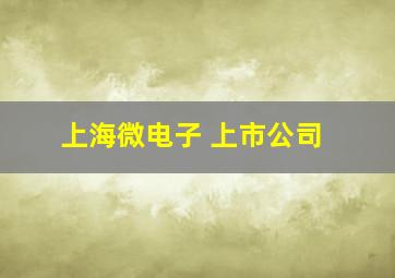 上海微电子 上市公司